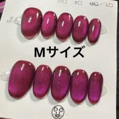 【セツ】マグネット　ネイルチップ　付け爪(A1231)