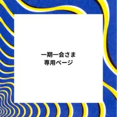 一期一会様 リクエスト 2点 まとめ商品
