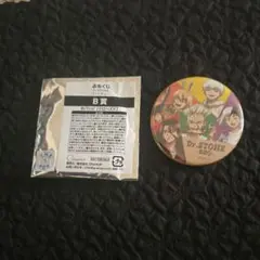 Dr.STONE 缶バッジ