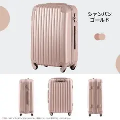 Item thumbnail for item 33c58570-3956-44fb-b629-3ae6adf84986