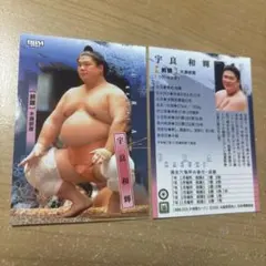 Item thumbnail for item 99c7323d-0037-4be5-ac85-13fc97d222cc