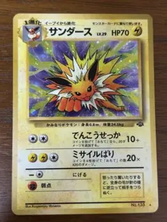 専用　サンダース　旧裏