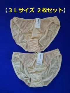 D453-6★【匿名配送】レディース ショーツ 2枚組(ライトブラウン系)3L