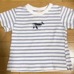 プティマイン 80 半袖Tシャツ くじら 美品 ボーダー 男の子 刺繍