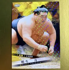 Item thumbnail for item b6c1a398-2cf9-4e08-97de-0a5ce215ddc0