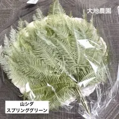 Item thumbnail for item 6a667022-ba82-4e03-9933-f91bee682edf