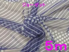 Item thumbnail for item 2c5b03fd-bef3-4725-a5aa-5d6e8d155c56