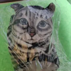 猫の顔ポーチ 耳付き 柔らかい