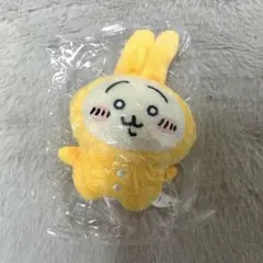 超特急 カイ 生誕ぬいぐるみ カカ - メルカリ