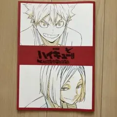 劇場版ハイキュー‼︎ゴミ捨て場の決戦 第3弾入場者特典 メモリアルブック