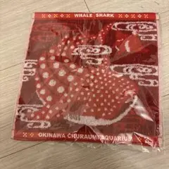 Item thumbnail for item bb1c362e-240c-4197-9c08-4a9e12bd4695