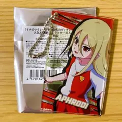 イナズマイレブン ヴィクロ 人気投票記念 アクリルカードキーホルダー アフロディ