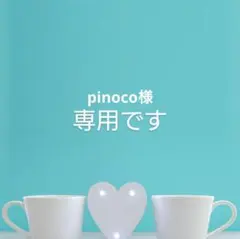 pinoco様専用です①
