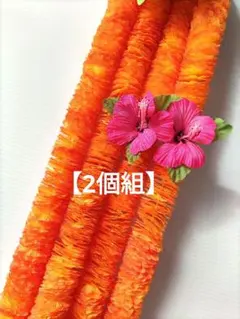 イリマロングレイ2組