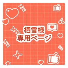 栖雪様専用ページ