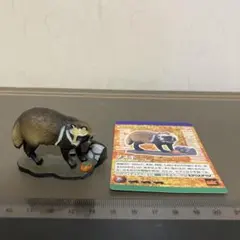 2026年最新】週刊日本の天然記念物の人気アイテム - メルカリ