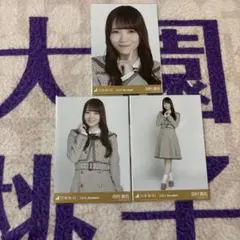 乃木坂46 生写真 コンプ チェック 田村真佑 - メルカリ