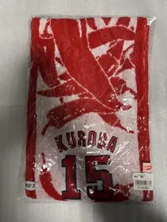 Item thumbnail for item 9656aa1e-d83c-4689-bdf6-9d7d74904235