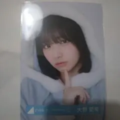日向坂大野愛美サイン入り2024サンタ衣装 生写真ヨリ