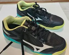 25.5cm3E ミズノ卓球シューズ ウエーブカイザーブルク8 中古