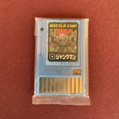 ロックマンエグゼ5 バトルチップセット - メルカリ