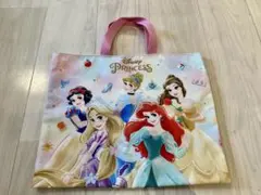 ディズニープリンセスレッスンバッグ入園