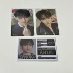 ALD1 アンシン トレカセット ②