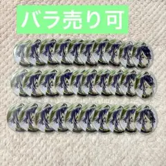 伊波ライ 誕生日2024 缶バッジ バースデー