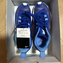 Nike Jordan One Take 4のサムネイル