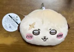 ラッコ　ぬいぐるみパスケースポーチ　ちいかわ