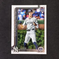 Item thumbnail for item c52a5b2e-fa4c-4fe6-aad1-2650a5b75cdc