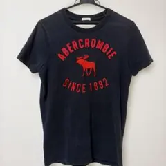 Abercrombie & Fitch Tシャツ Sサイズのサムネイル