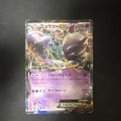 2026年最新】シリーズ：XY／XYBREAK ポケモンカードゲームの人気