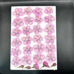 Item thumbnail for item 647018bb-4b9a-482d-bafd-66d7f4d15af4