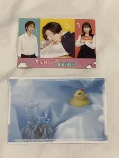 八木勇征 美しい彼 矢野くんの普通の日々