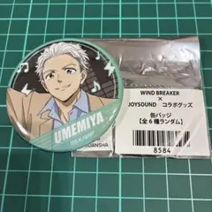 WIND BREAKER 梅宮一 缶バッジ JOYSOUND ウィンブレ