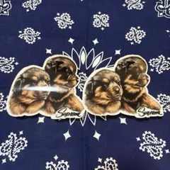 SUPREME 26FW Puppies
