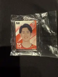 甲斐優斗 めじるしチャーム 15番