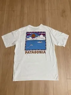 パタゴニア・メンズ・サミット・スウェル・オーガニック・Tシャツ