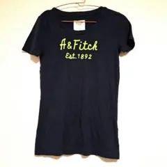 Abercrombie & Fitch レディース tシャツ春