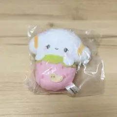 サンリオ - こぎみゅん　ぬいぐるみ　いちご　着ぐるみ こぎみゅん ぬいぐるみマスコット いちご - メルカリ