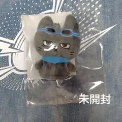 BOYNEXTDOOR テサン ペンライトカバー ハンテップン プネクド - メルカリ