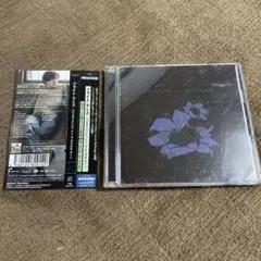 【国内盤】「Digital Ash in a Digital Urn」CD