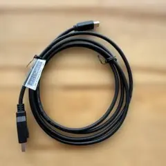 DisplayPort to Mini DisplayPort ケーブル