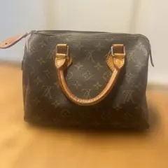 もも様専用 Louis Vuitton モノグラム ハンドバッグ 中型