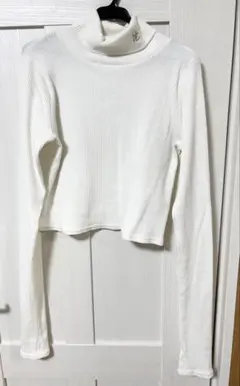 Item thumbnail for item 2a9091d9-ecf3-471f-946e-cd6f14f66ff4