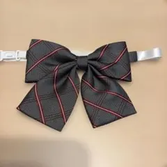 富士見丘中学校　リボン