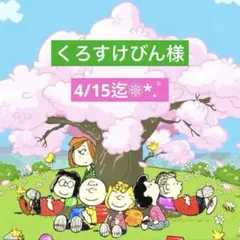 くろすけびん様 専用ページ