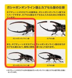 いきもの大図鑑かぶとむし08　ネプチューンオオカブト　オンライン版