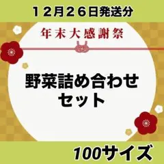 １２月２６日発送分‼️野菜詰め合わせセット❣️たっぷり100サイズ‼️